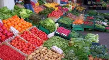 تباين أسعار الخضار في سوق العبور تزامنا مع صعود الطماطم وتراجع الليمون الثلاثاء